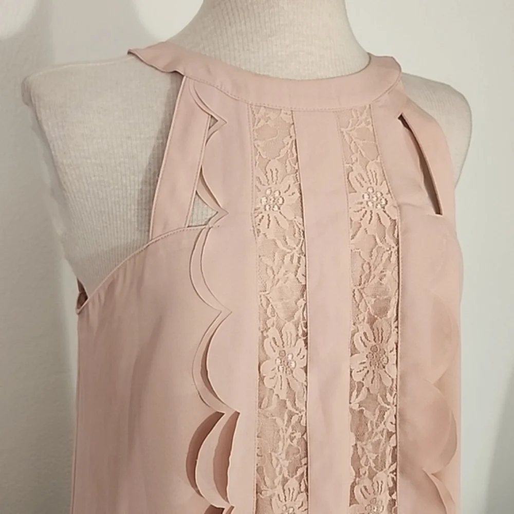 Altered States Dress Lace Panel with Scalloped Ruffle Trapeze Style Pink Size M - Picture 5 of 14